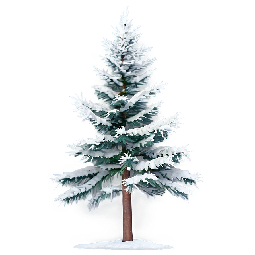 Snowy Evergreen Tree Png Pmc22 PNG Image