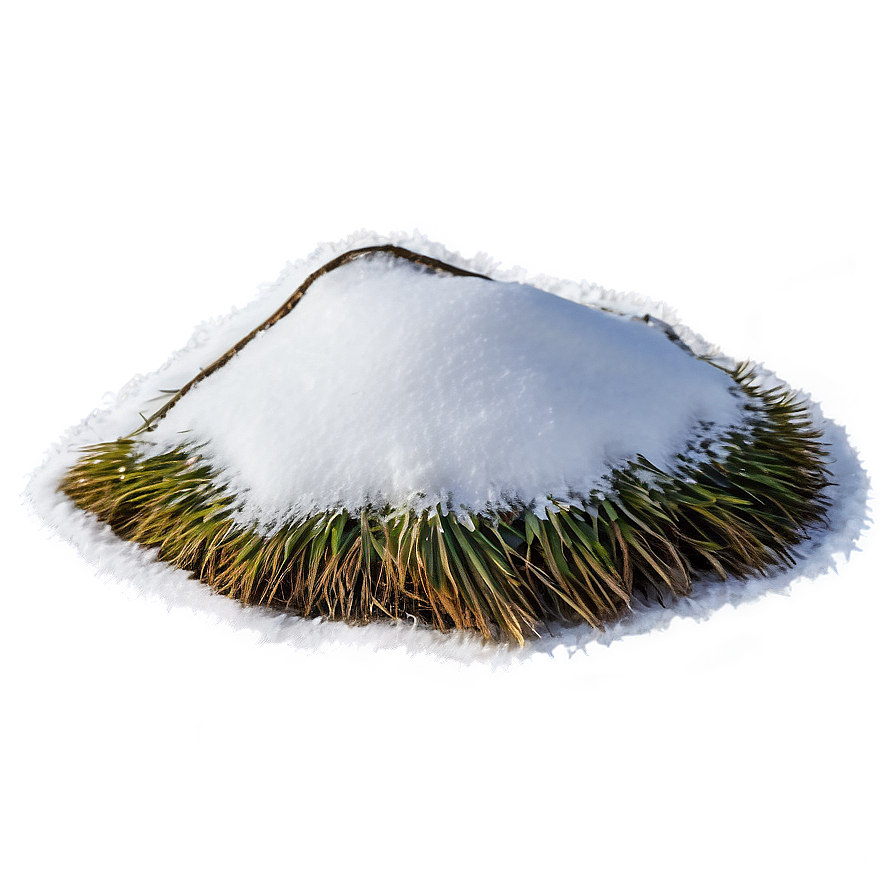 Snowy Field Transparent Png 05252024 PNG Image