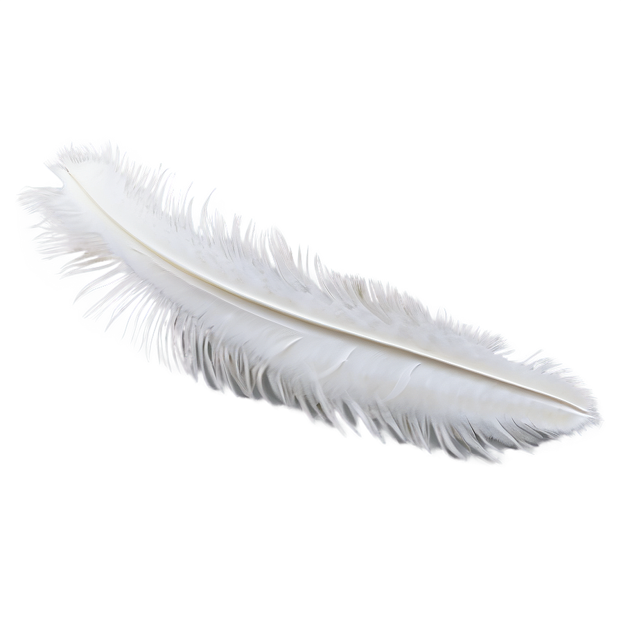 Snowy Owl Feather Png 54 PNG Image