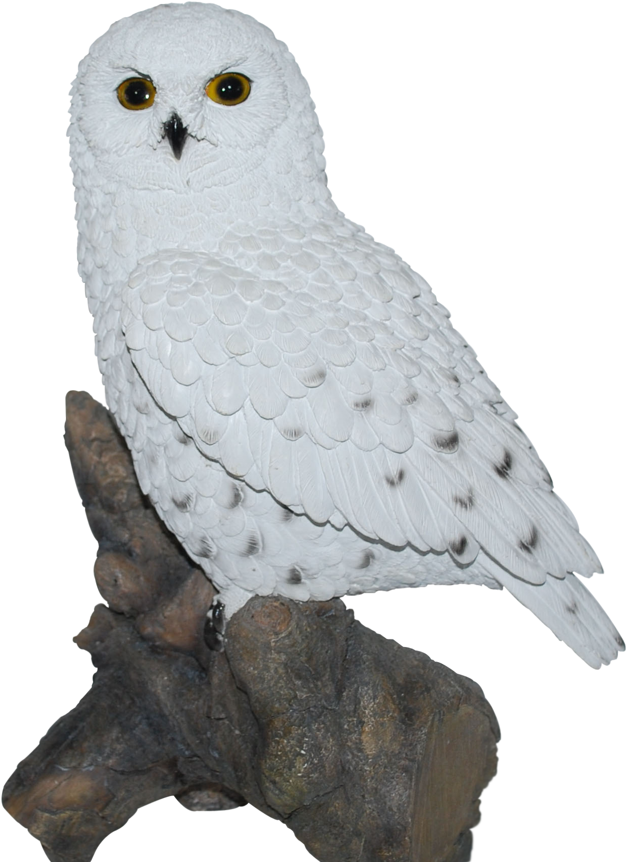 Snowy Owl Perchedon Branch PNG Image