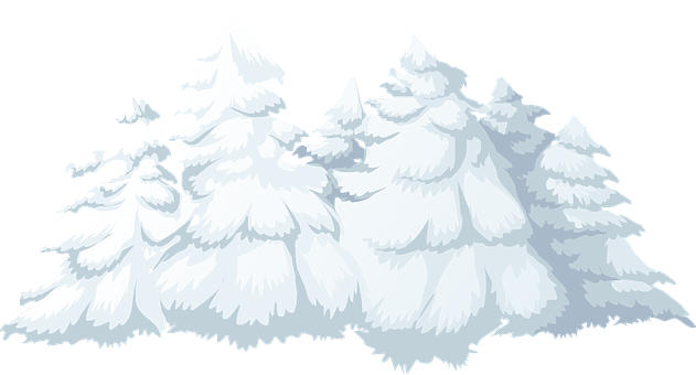 Snowy Pine Trees Vector Illustration PNG Image