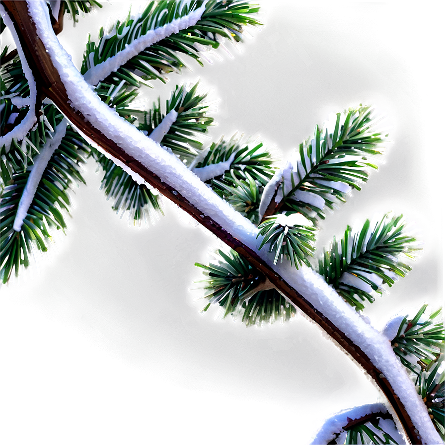 Snowy Tree Branches Png 06282024 PNG Image