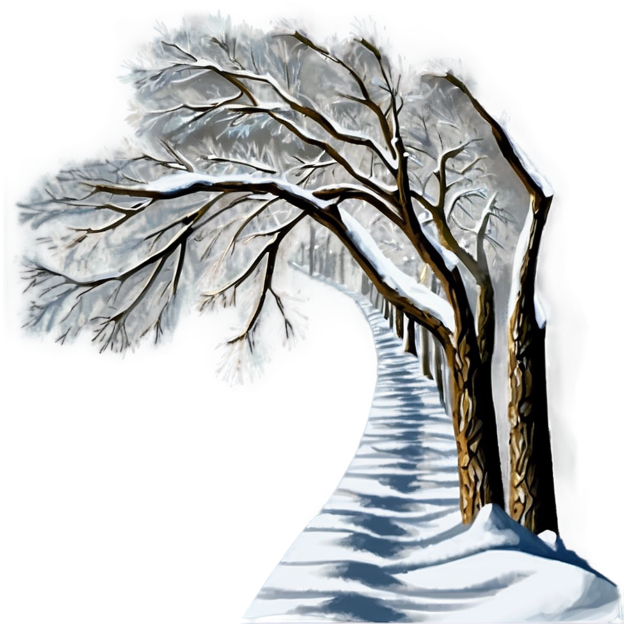 Snowy Tree Pathway Png 06212024 PNG Image