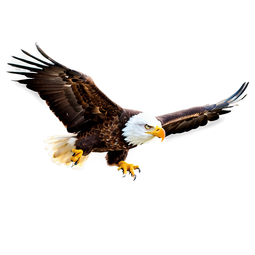 Soaring American Eagle Png Frg PNG Image