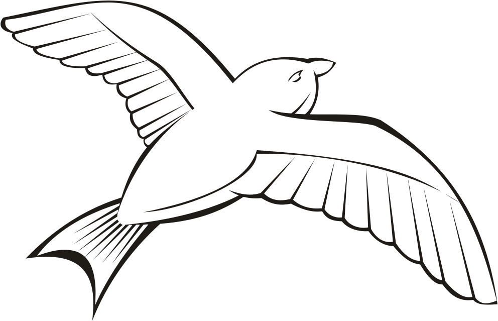 Soaring Bird Silhouette.png PNG Image