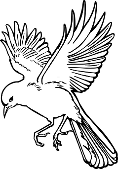 Soaring Bird Silhouette PNG Image