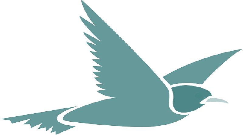 Soaring_ Blue_ Bird_ Vector PNG Image