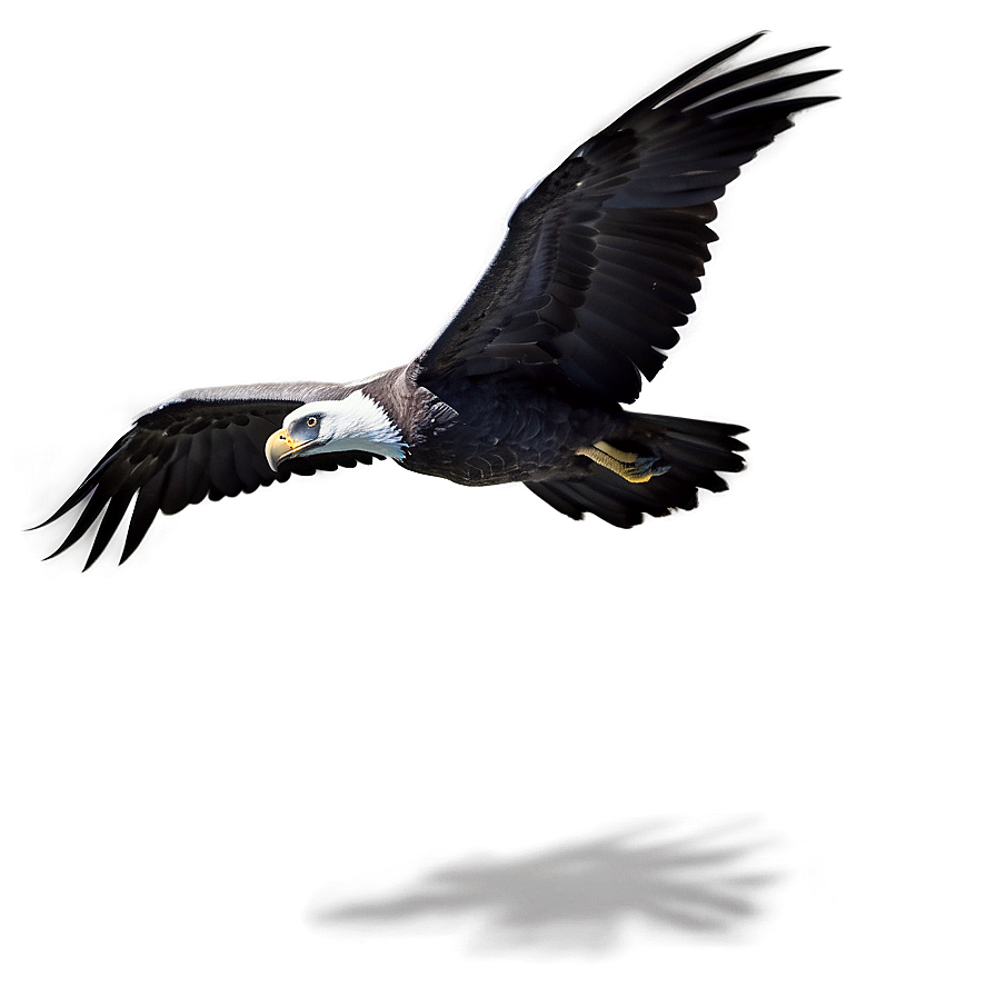 Soaring Condor Png 06122024 PNG Image