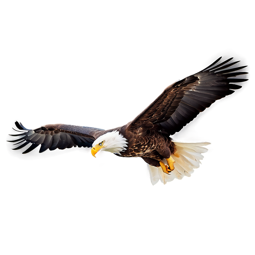 Soaring Eagle Flying Png Cwn PNG Image