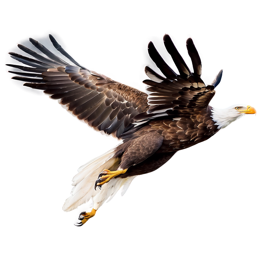 Soaring Eagle Flying Png Dll47 PNG Image