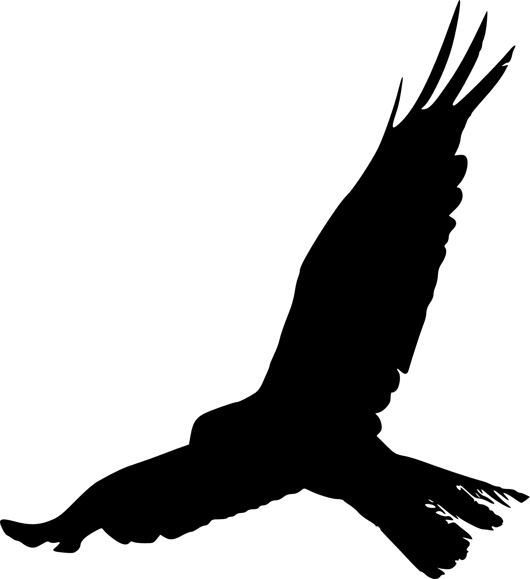 Soaring Eagle Silhouette PNG Image