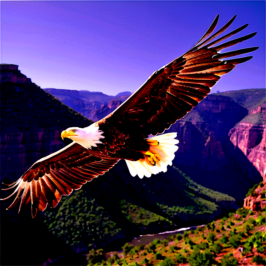 Soaring Eagles Above Canyon Png Wdr PNG Image