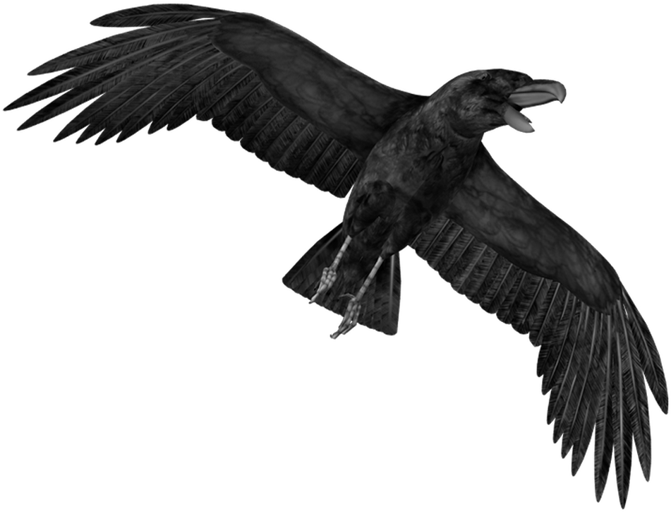 Soaring_ Raven_ Silhouette PNG Image