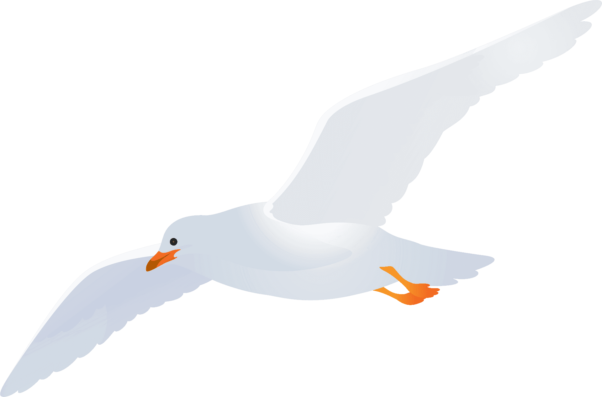 Soaring Seagull Vector PNG Image