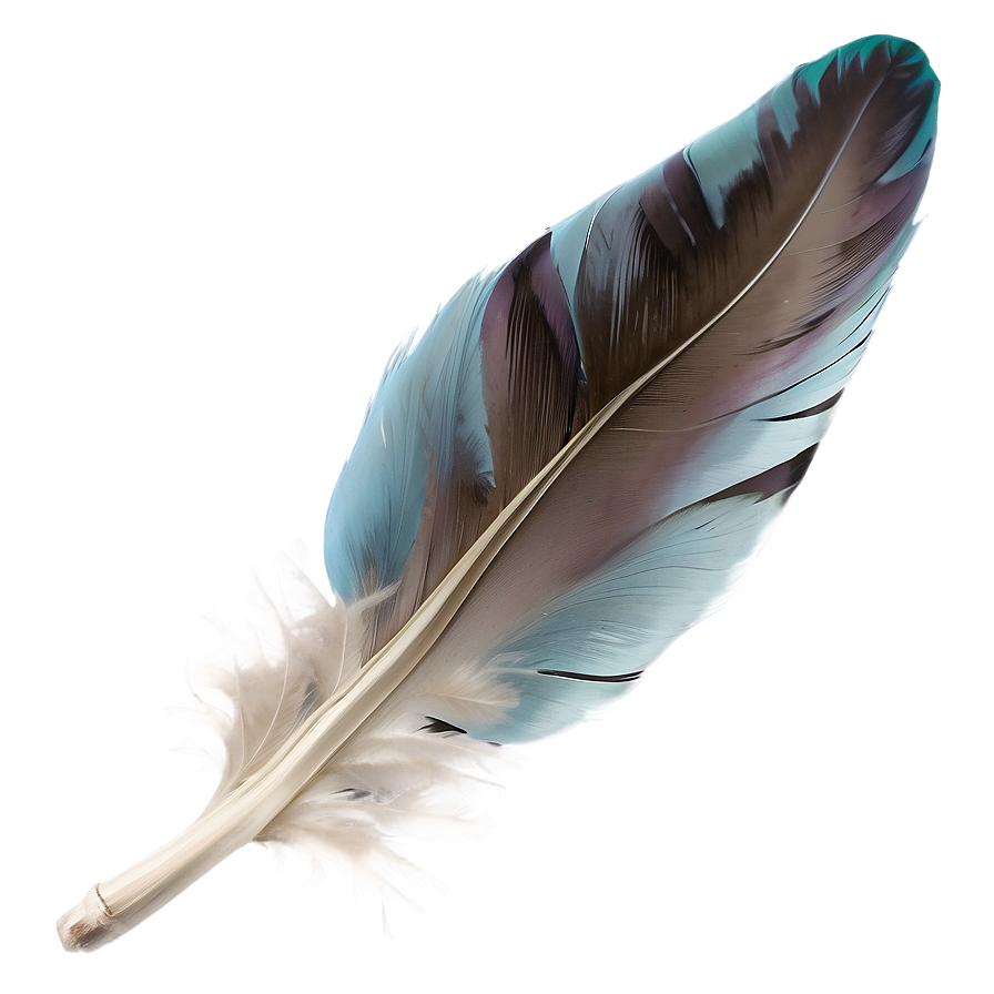 Soft Down Feather Png 24 PNG Image