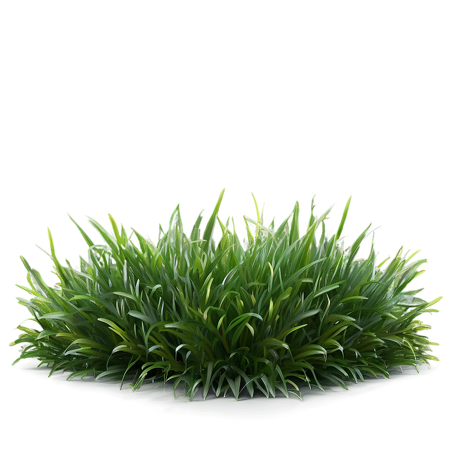 Soft Grass Carpet Png 04292024 PNG Image