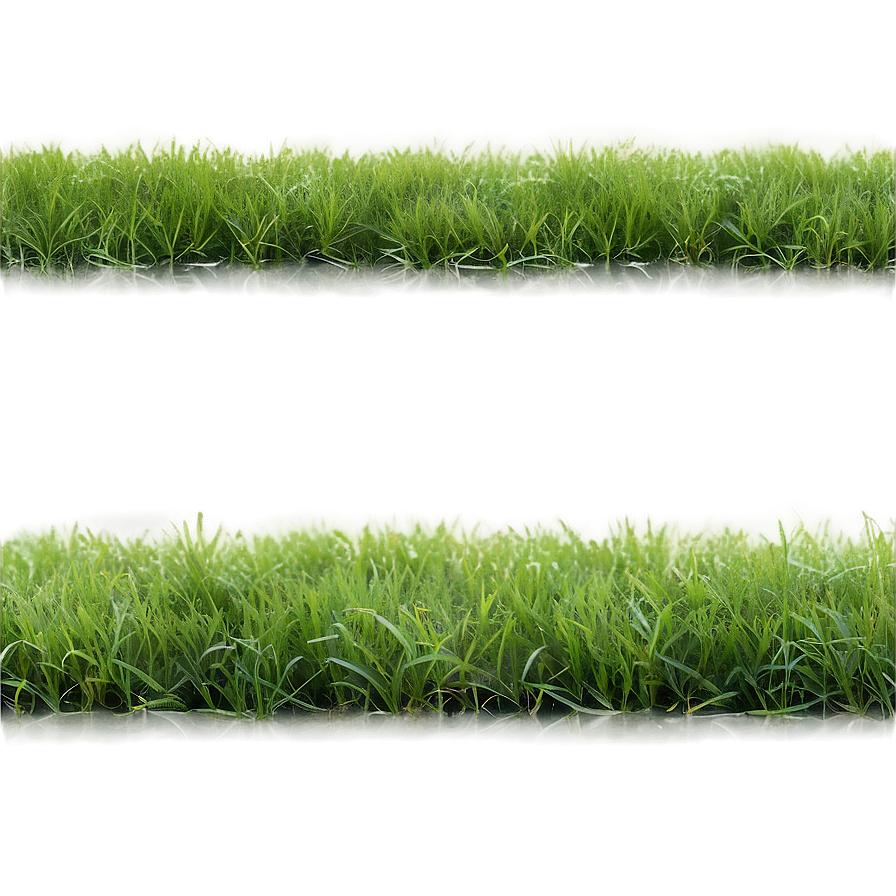 Soft Grass Carpet Png Lrx PNG Image