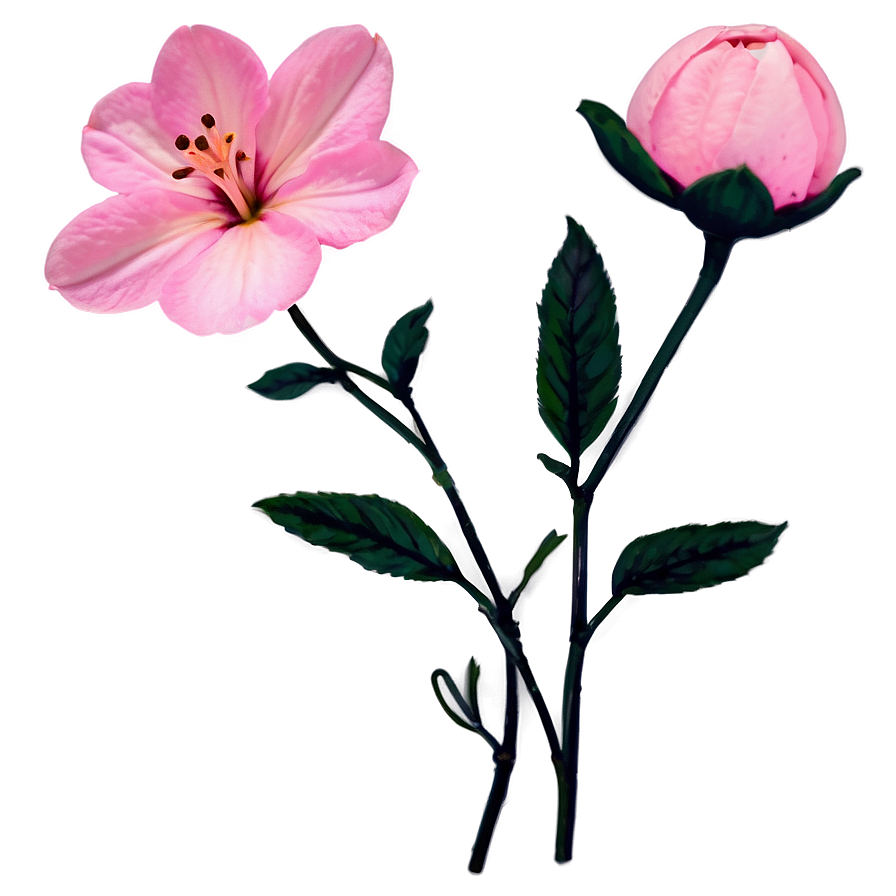 Soft Pink Flower Png Vmv4 PNG Image