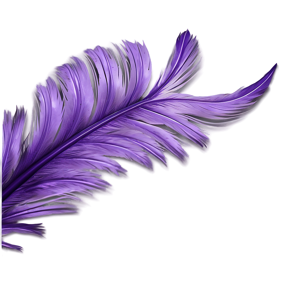 Soft Violet Feather Close-up Png 06202024 PNG Image