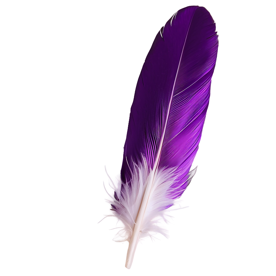 Soft Violet Feather Close-up Png Ysw PNG Image