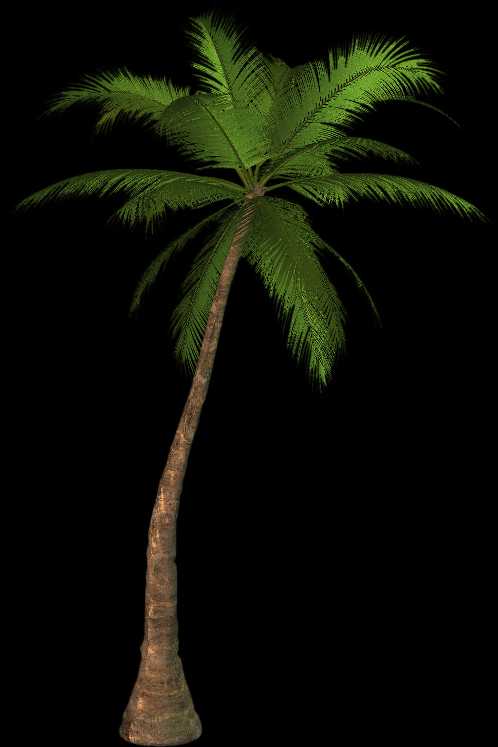 Solo Palm Tree Against Night Sky PNG Image