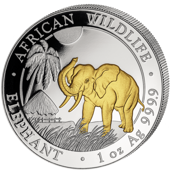 Somali Elephant Silver Coin2023 PNG Image