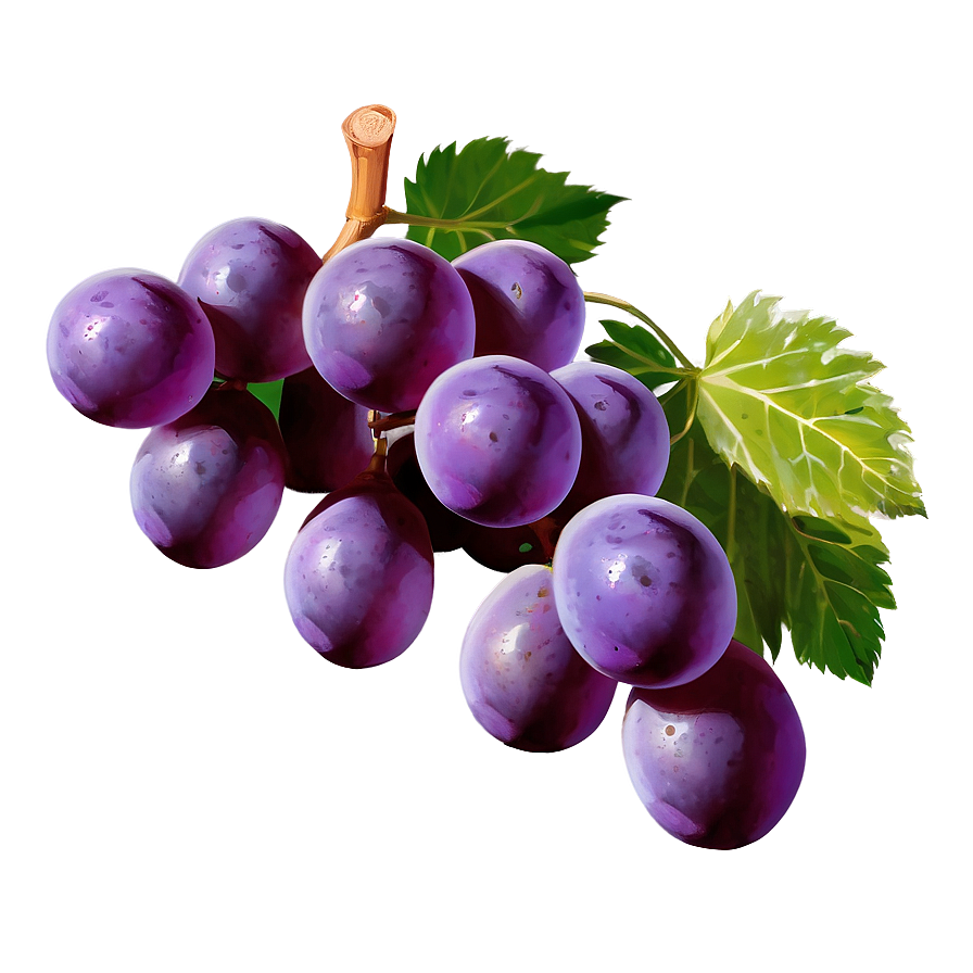 Sour Grape Cluster Png Ccr PNG Image