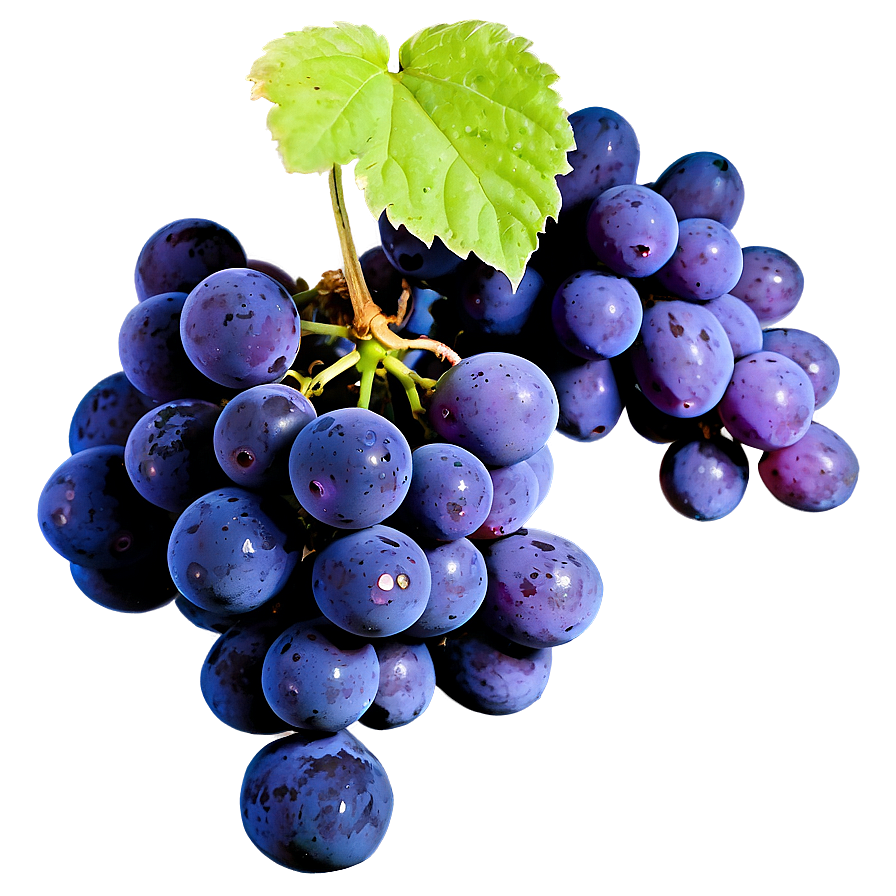 Sour Grape Cluster Png Ddw90 PNG Image