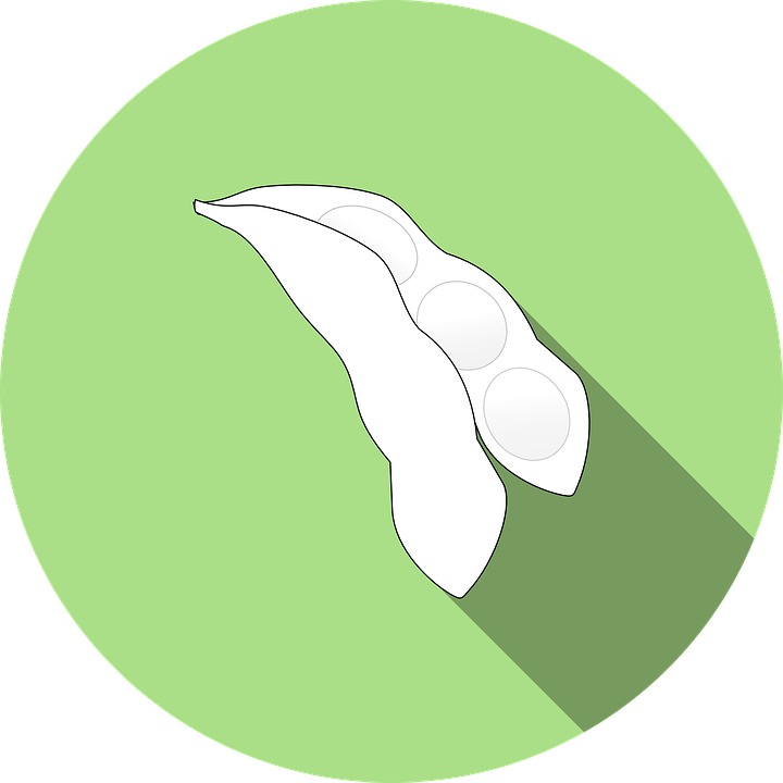 Soybean Pod Illustration PNG Image