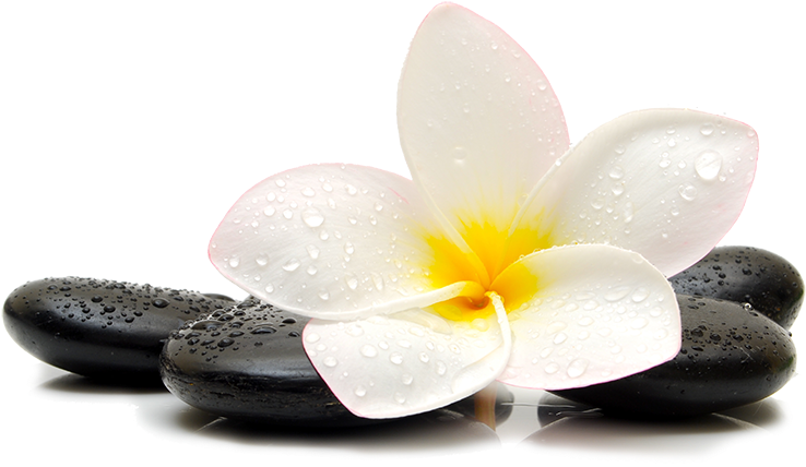 Spa Concept Zen Stonesand Frangipani PNG Image