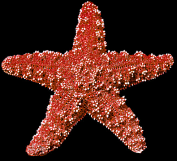 Sparkling Red Starfish PNG Image