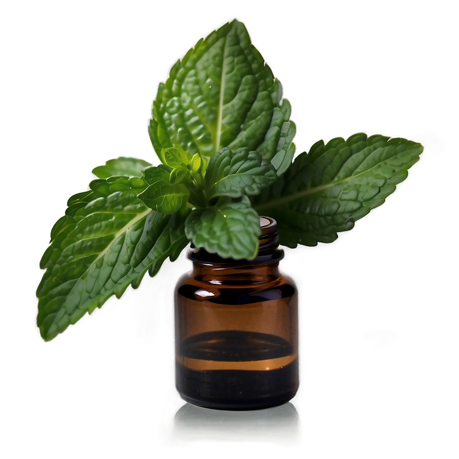 Spearmint Essential Oil Png 82 PNG Image