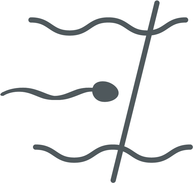 Sperm Cell Icon PNG Image