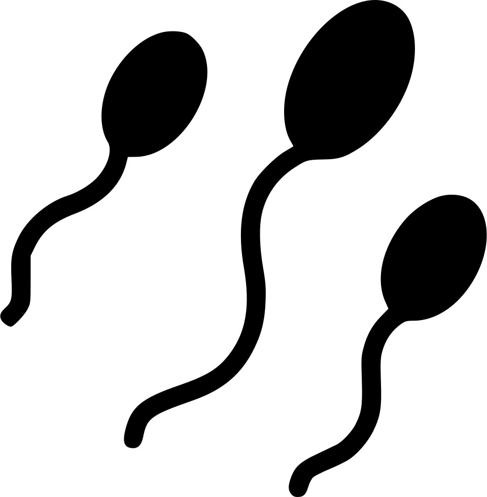 Sperm Cells Silhouette Graphic PNG Image