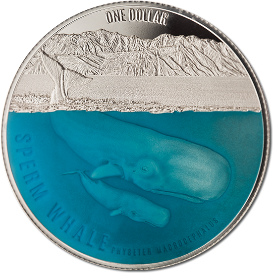 Sperm Whale Commemorative Coin PNG Image