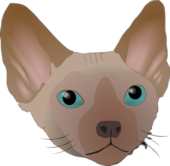 Sphynx Cat Illustration PNG Image