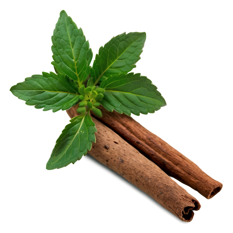 Spice And Herb Png Gwy49 PNG Image