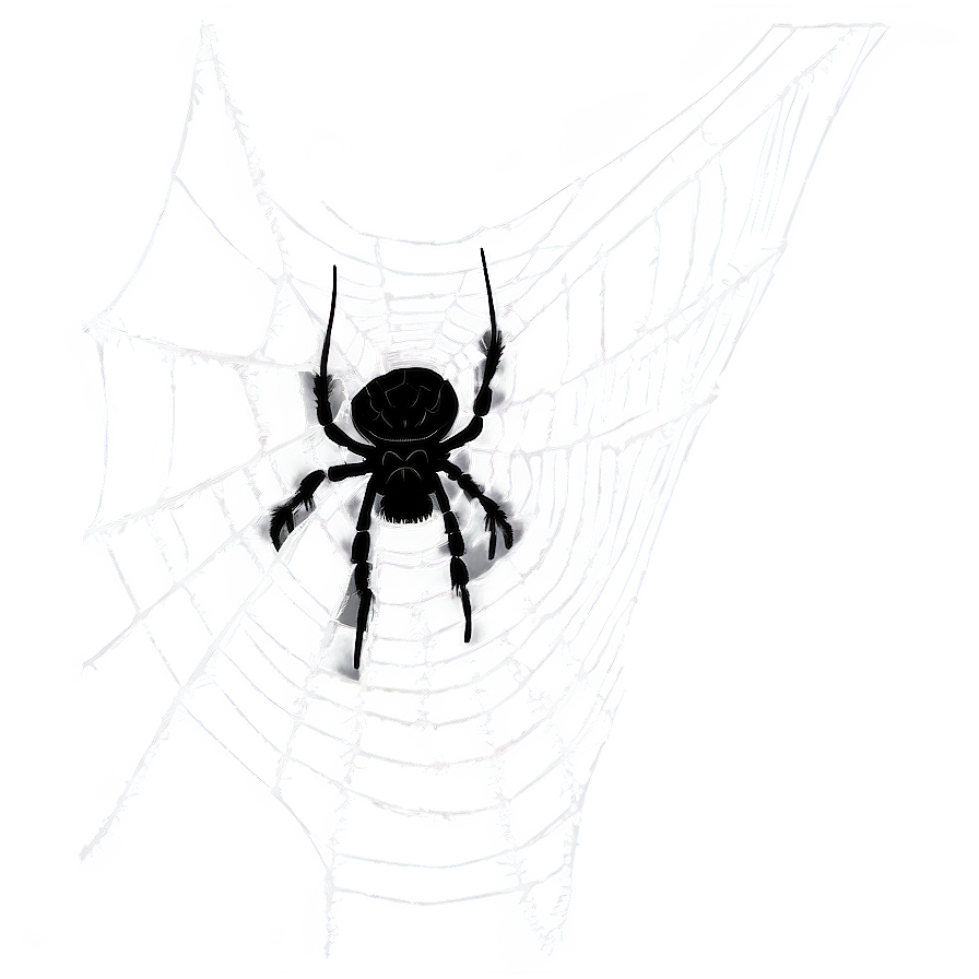 Spider And Cobweb Png 06132024 PNG Image