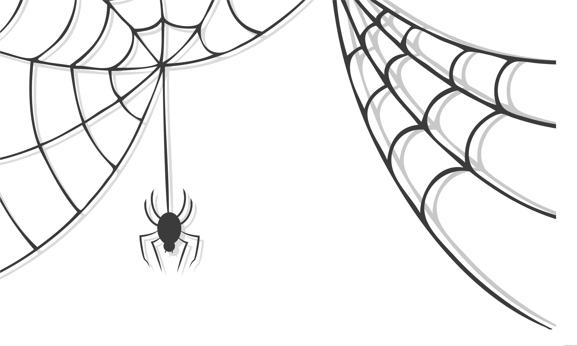 Spider Descending From Web PNG Image