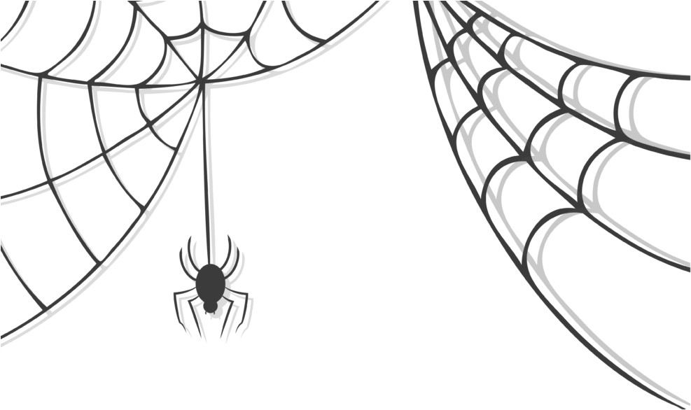 Spider Descending Web PNG Image