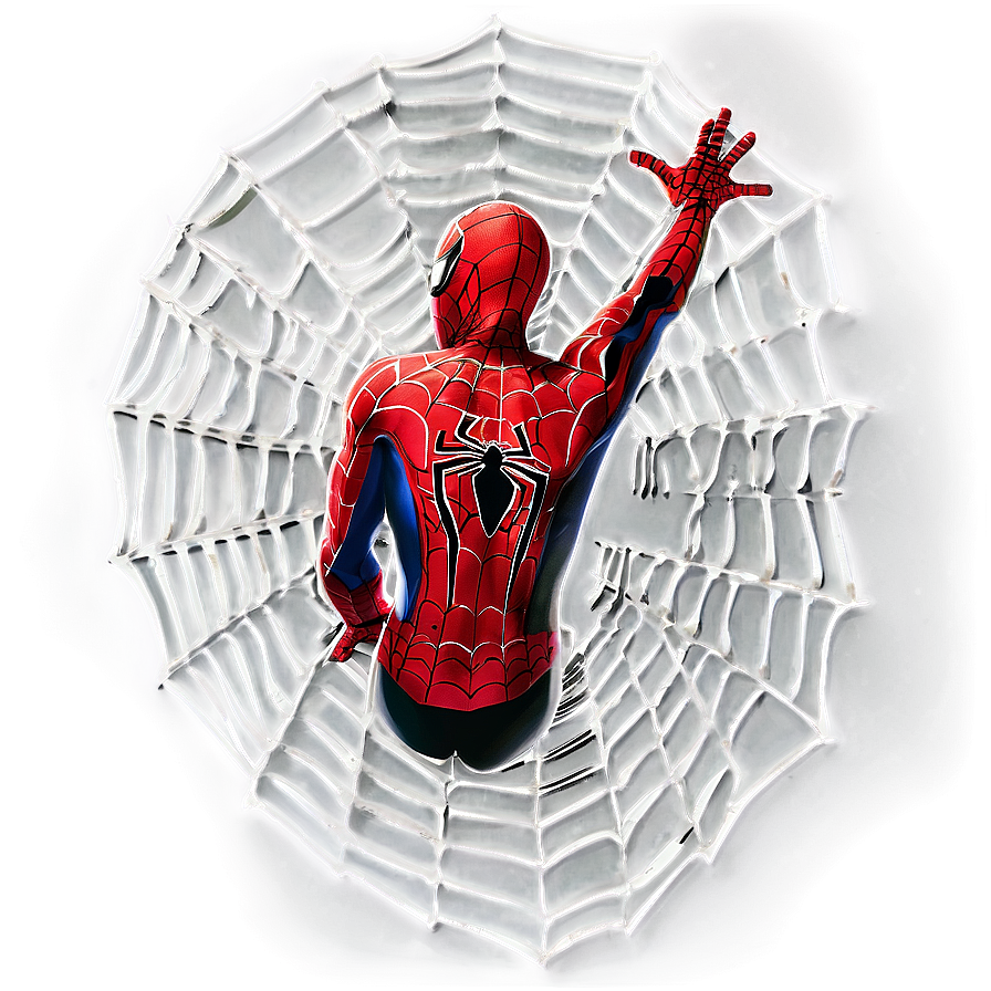 Spider Man Web D PNG Image