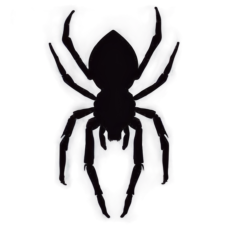 Spider Silhouette Png 05042024 PNG Image