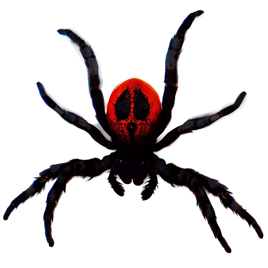 Spider Silhouette Png Bca PNG Image