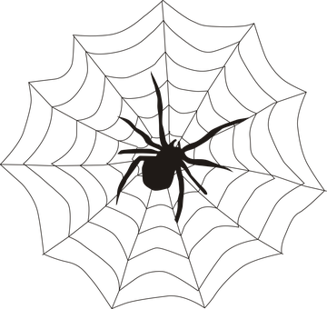 Spider Silhouetteon Web PNG Image