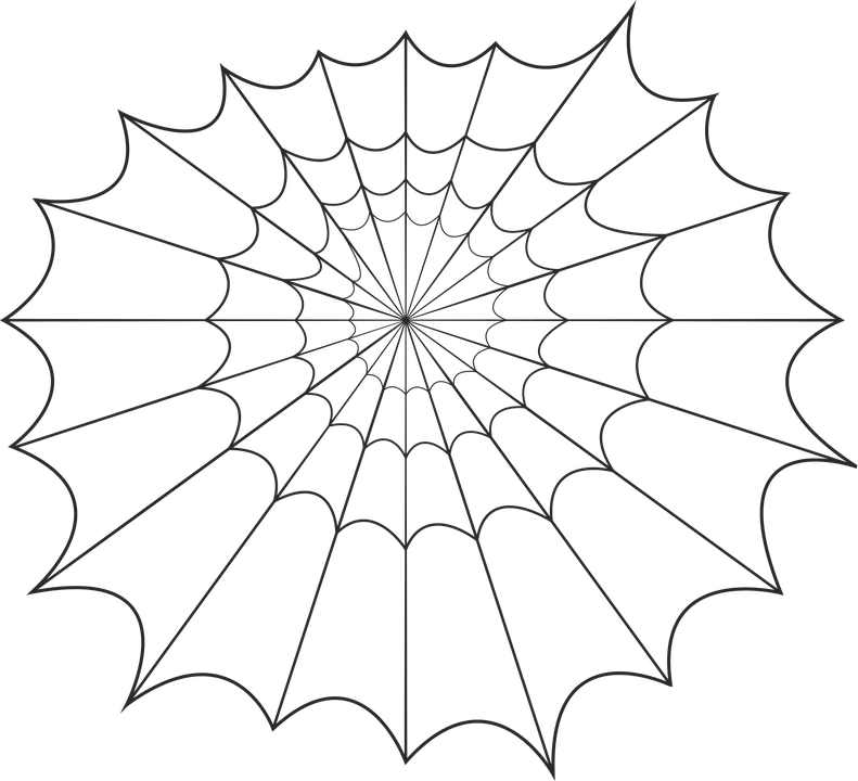 Spider Web Graphic Design PNG Image