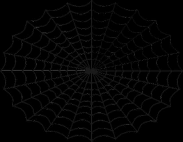 Spider Web Pattern Black Background PNG Image