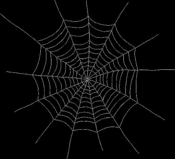 Spider Web Silhouette PNG Image