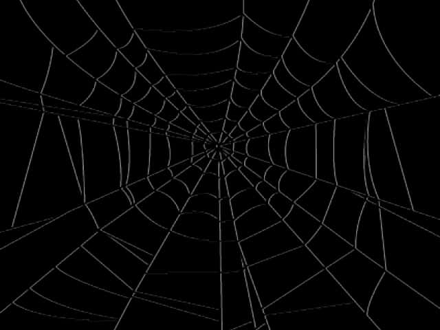 Spider Web Silhouette PNG Image