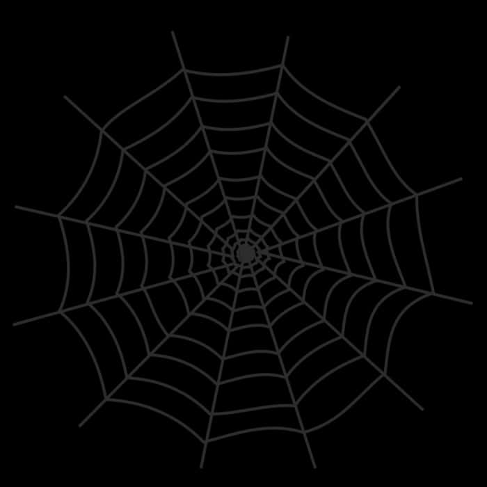 Spider Web Silhouetteon Black Background PNG Image