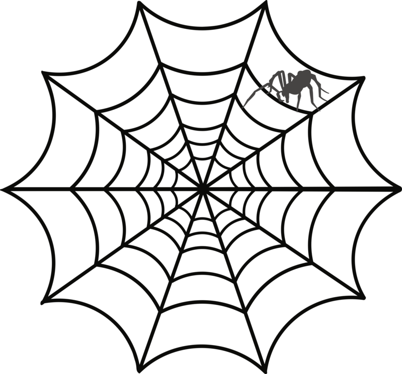 Spider Webwith Spider Graphic PNG Image